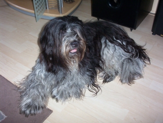 Oliver