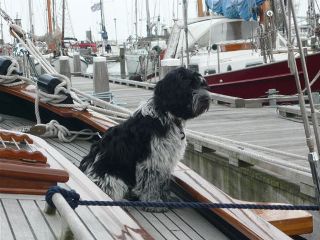Askan Joep
