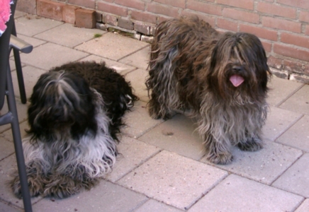 Myckos en Mlou