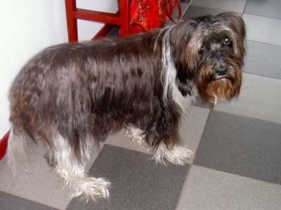 Whitney old lady