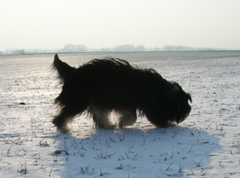Zoe Caydine Neele