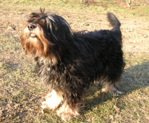 Zoe Caydine Neele